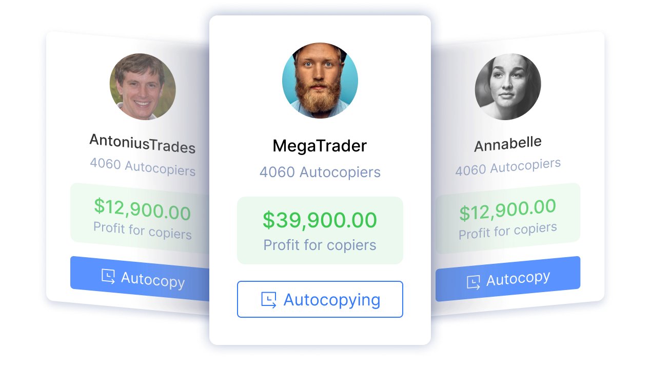 Credit Search in Seconds